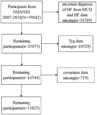 Association between the triglyceride glucose index and heart failure: NHANES 2007–2018